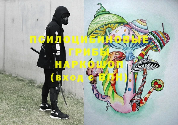 PSILOCYBIN Абинск