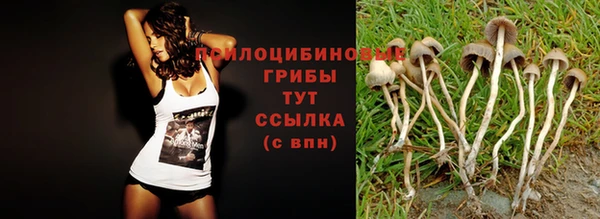 прущая мука Абдулино